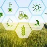 Primary 3 – First Term Examination for Agriculture Questions and Answers